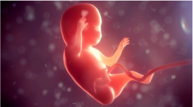 三分钟学会看懂试管婴儿胚胎报告